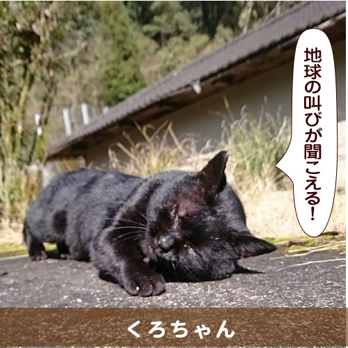 20160321_touko.jpg