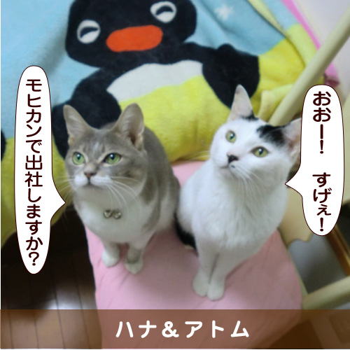 20160325_touko.jpg