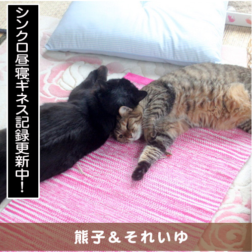 20160326_touko.jpg