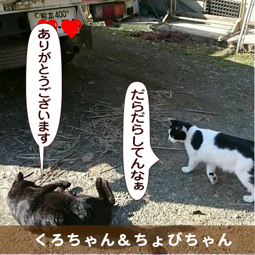 20160327_touko.jpg