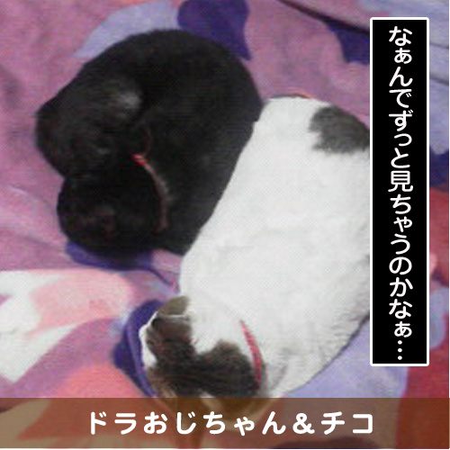 20160328_touko.jpg