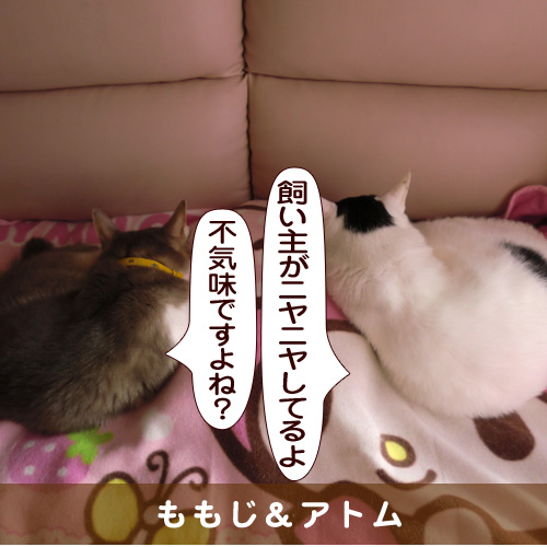 20160330_touko.jpg