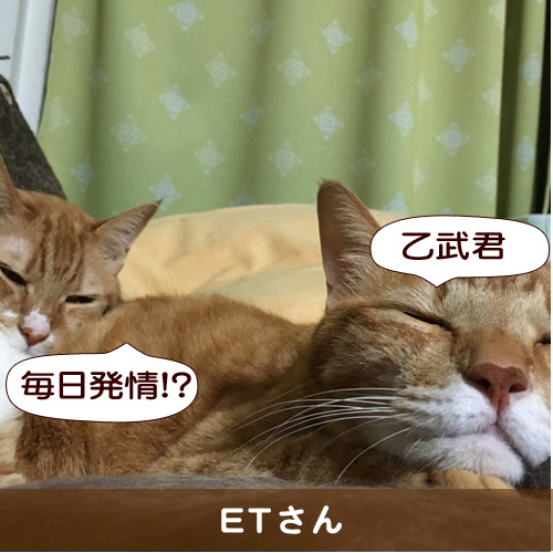 20160401_touko.jpg