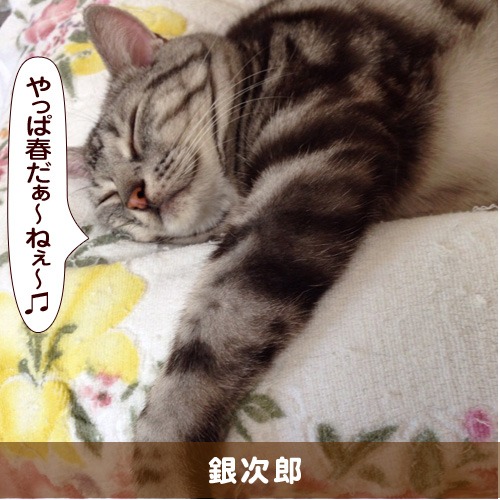 20160405_touko.jpg