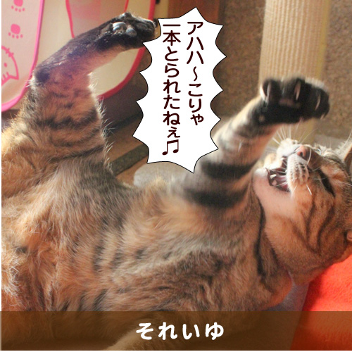 20160406_touko.jpg