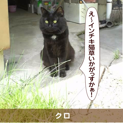 20160407_touko.jpg
