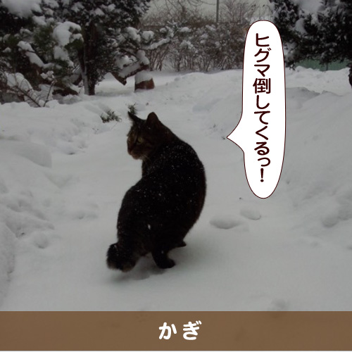 20160408_touko.jpg