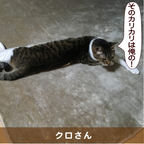 20160409_touko.jpg