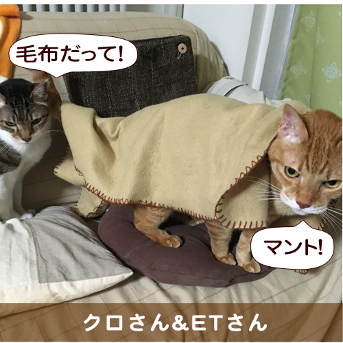 20160410_touko.jpg