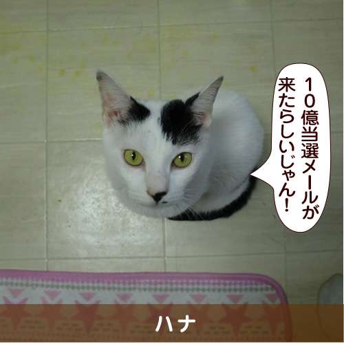 20160412_touko.jpg