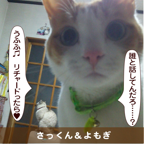 20160414_touko.jpg