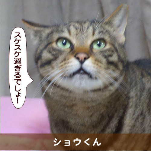 20160417_touko.jpg