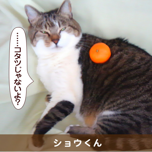 20160418_touko.jpg