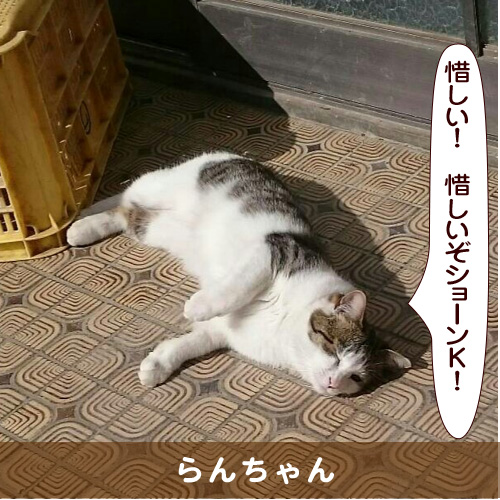 20160419_touko.jpg