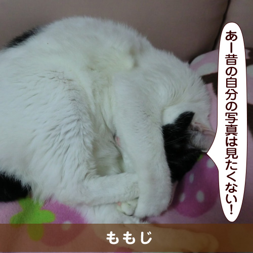 20160420_touko.jpg