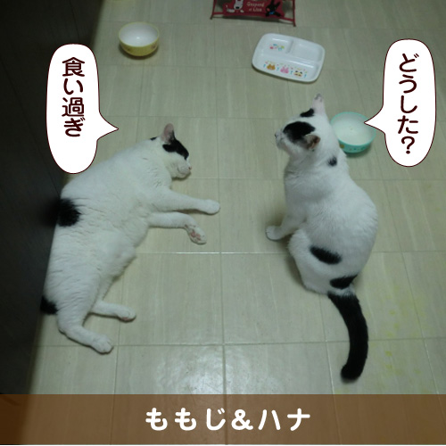 20160422_touko.jpg