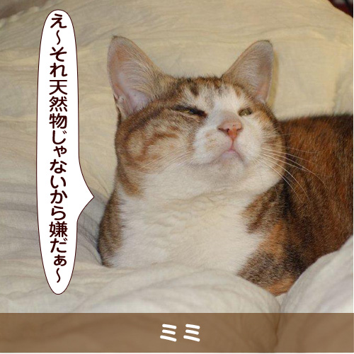 20160423_touko.jpg