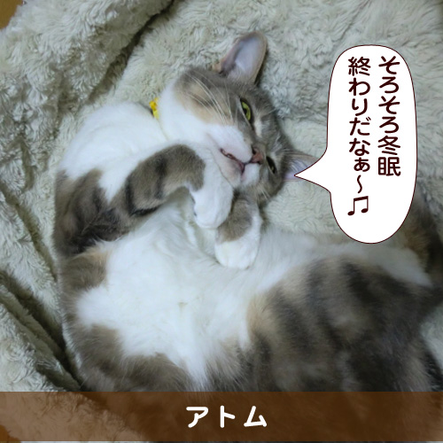 20160425_touko.jpg