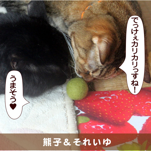 20160427_touko.jpg