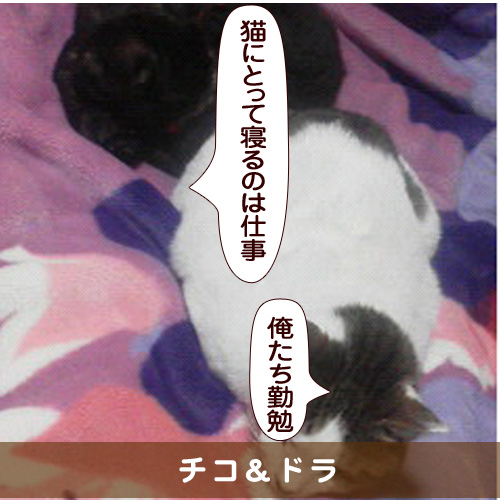 20160429_touko.jpg