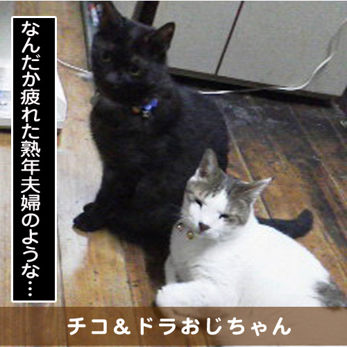 20160430_touko.jpg