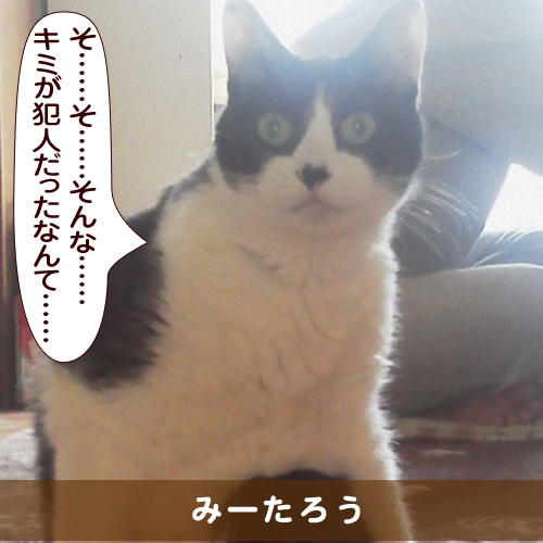20160504_touko.jpg