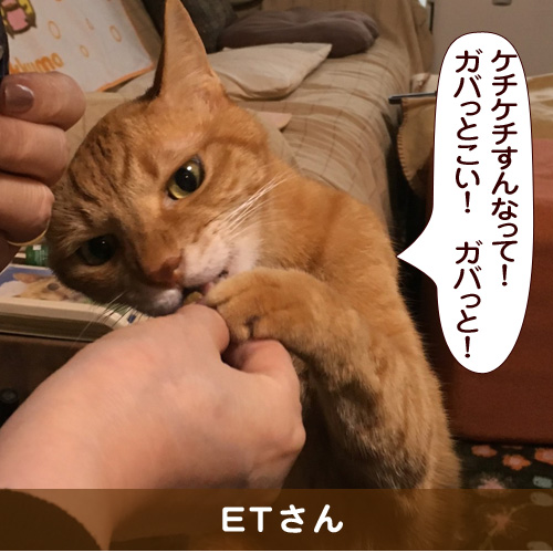 20160507_touko.jpg