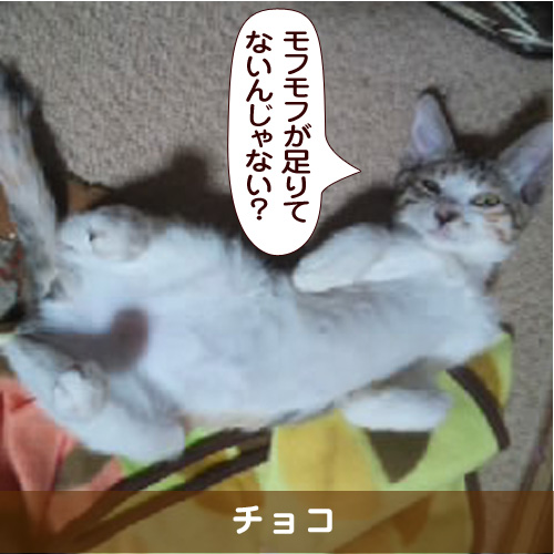 20160508_touko.jpg