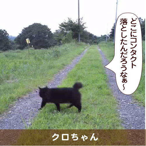 20160512_touko.jpg