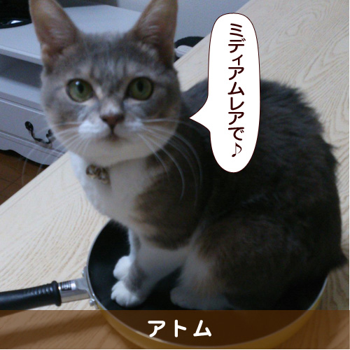 20160514_touko.jpg