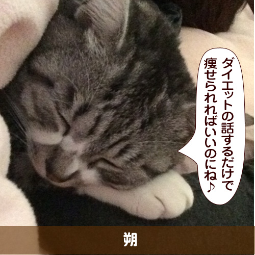 20160516_touko.jpg