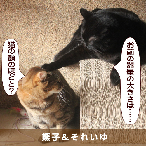 20160517_touko.jpg