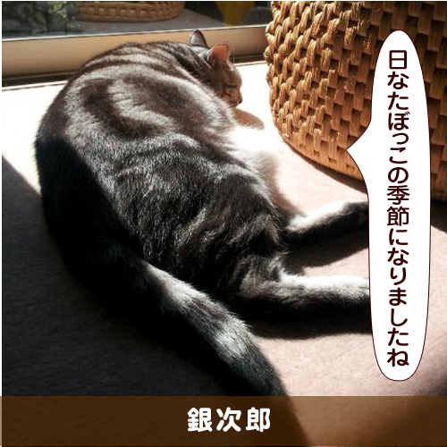 20160520_touko.jpg
