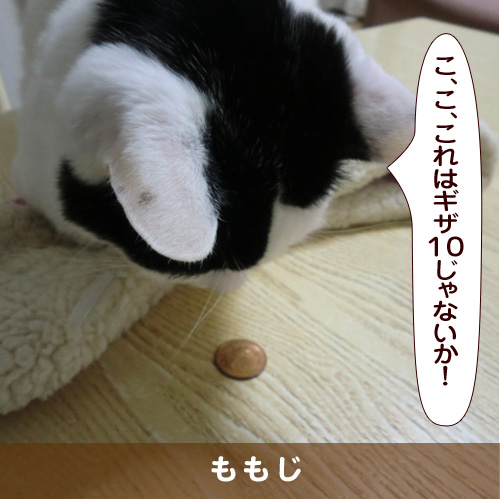 20160522_touko.jpg