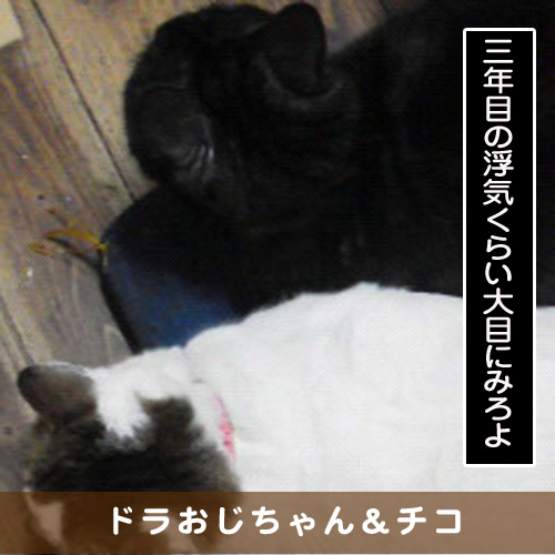20160523_touko.jpg