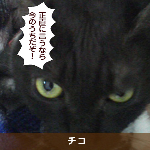20160526_touko.jpg