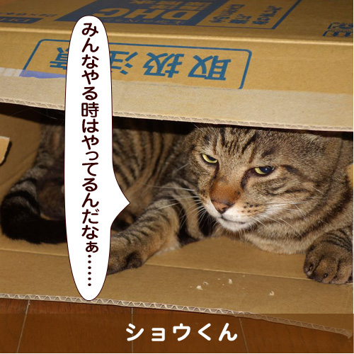 20160528_touko.jpg