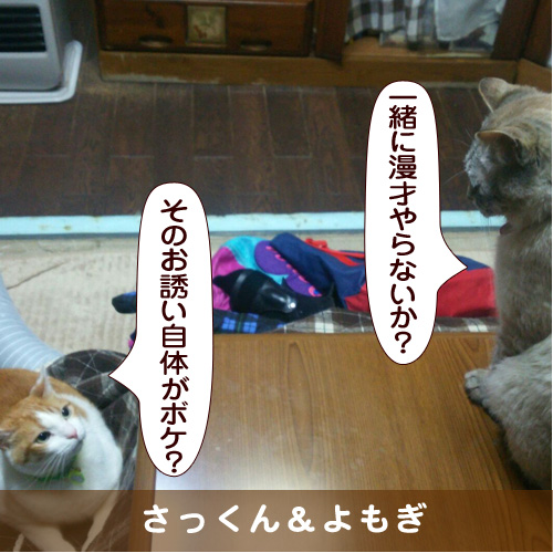 20160529_touko.jpg