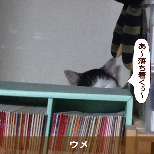 20160531_touko.jpg