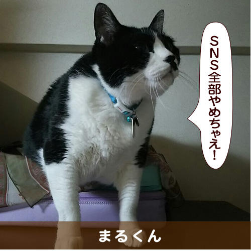 20160601_touko.jpg
