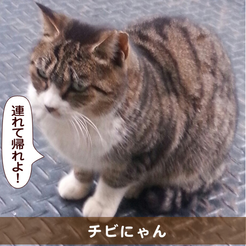 20160605_touko.jpg