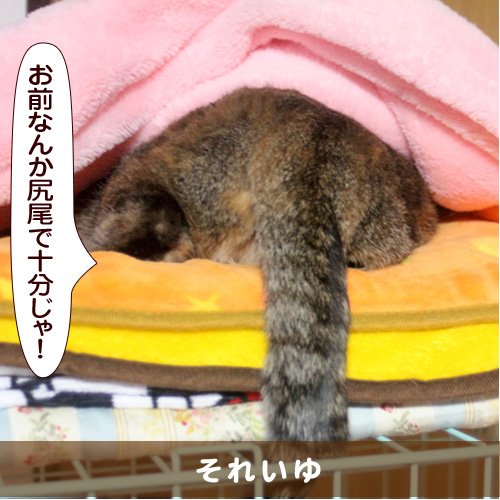 20160606_touko.jpg