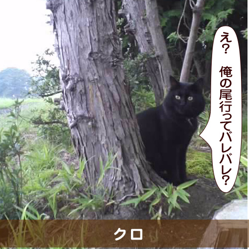 20160607_touko.jpg