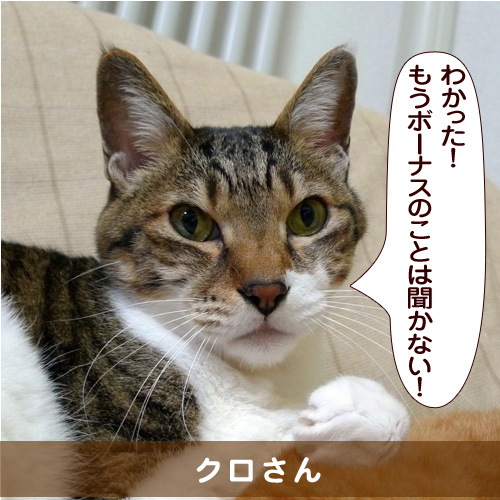 20160608_touko.jpg