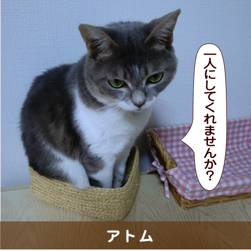 20160612_touko.jpg
