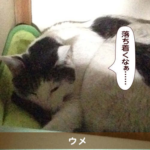 20160613_touko.jpg