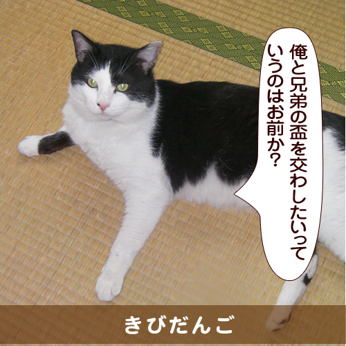 20160614_touko.jpg