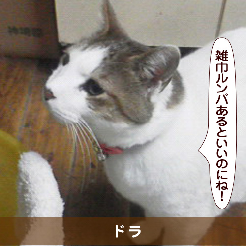 20160617_touko.jpg