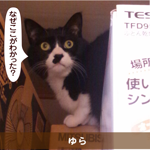 20160619_touko.jpg