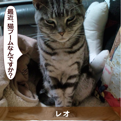 20160620_touko.jpg